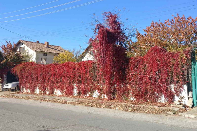 House in Oblast Stara Zagora, Myglij