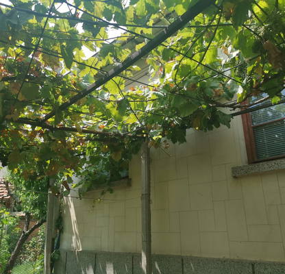 Photo 3 — House in Oblast Pazardjik, Panagyurishte