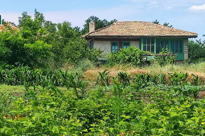 House in Oblast Varna, Chervenci