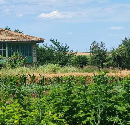Photo 3 — House in Oblast Varna, Chervenci