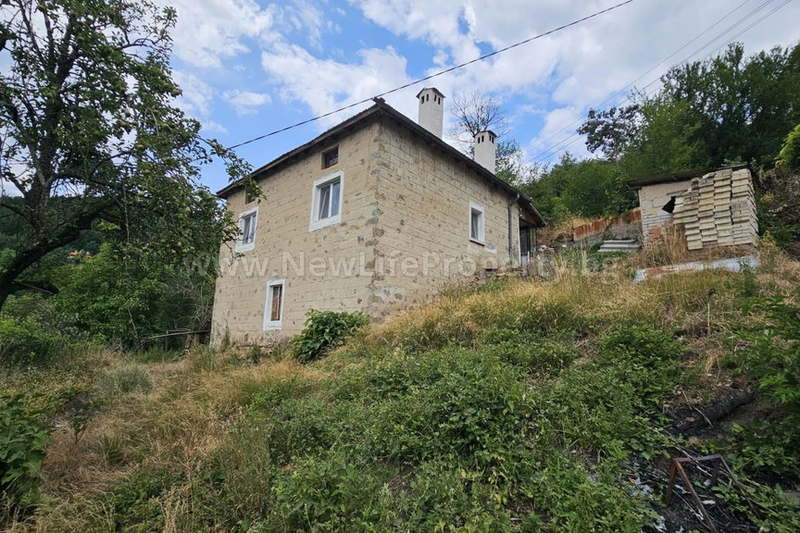 House in Oblast Smolyan, Davidkovo