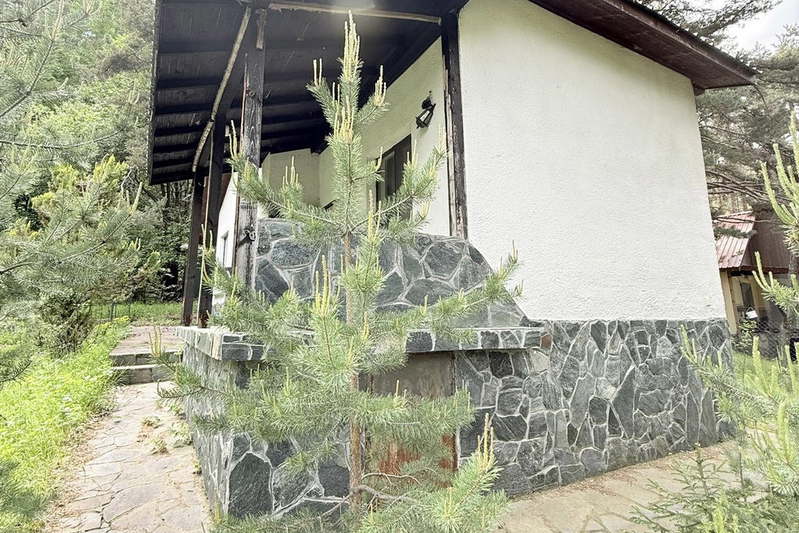 Къща в Пловдив, с. Дедево