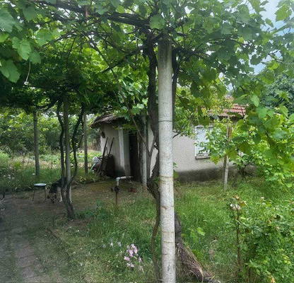 Снимка 4 — Къща в Пловдив, с. Дрангово