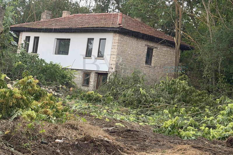 House in Oblast Varna, Nikolaevka
