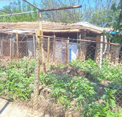 Photo 2 — House in Oblast Pleven, Obnova