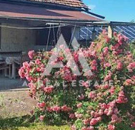 Photo 3 — House in Oblast Pleven, Obnova
