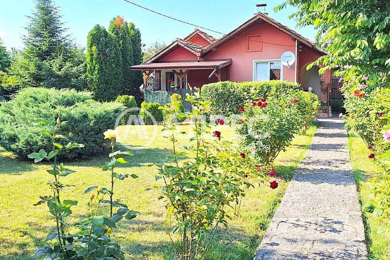 House in област София, Petyrch