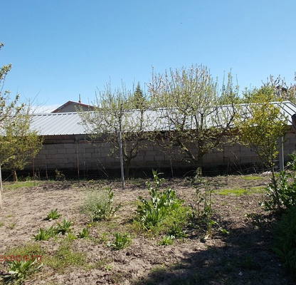 Photo 4 — House in Dobrich, Plachidol