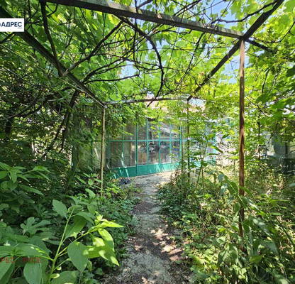 Photo 2 — House in Oblast Ruse, Shtryklevo
