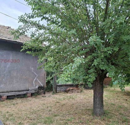 Photo 3 — House in Oblast Pleven, Telish