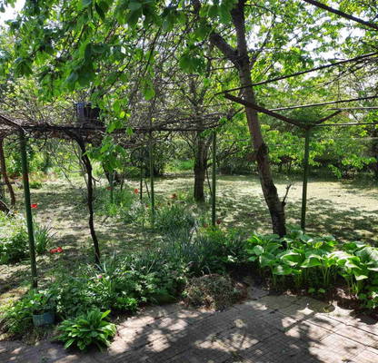 Photo 5 — House in Oblast Pleven, Telish
