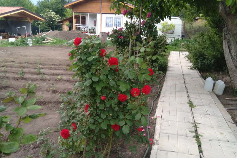 House in Oblast Pernik, Velkovci