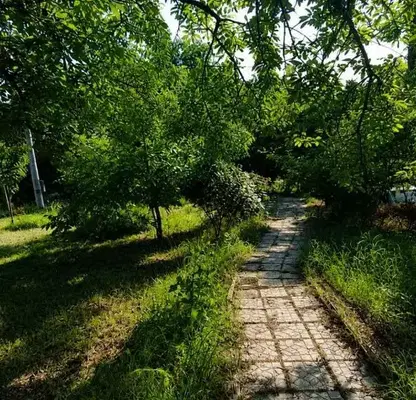 Снимка 5 — Къща във Варна, м-т Боровец - юг