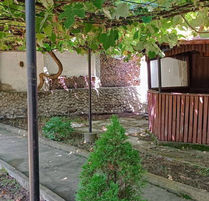 Photo 5 — House in област София, Zlatica