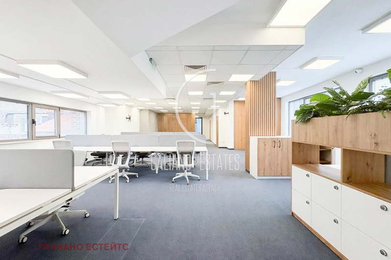 Office in Sofiya, Centyr