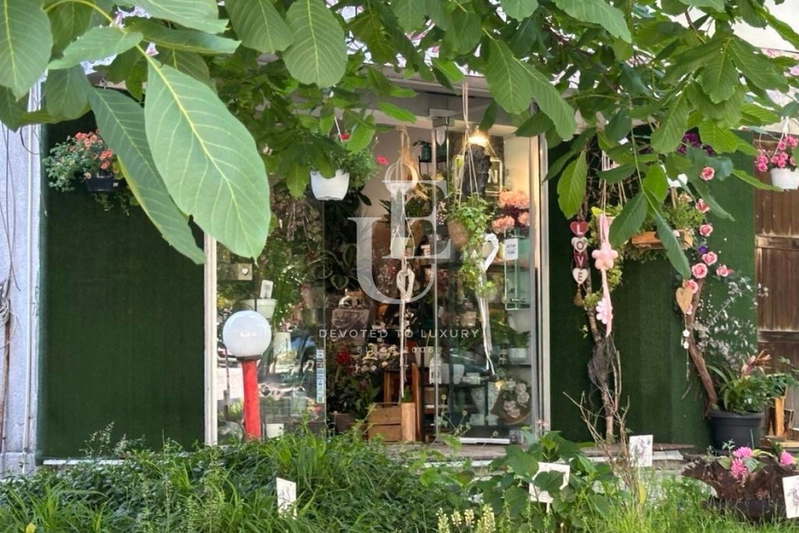 Shop in Sofiya, Lozenec