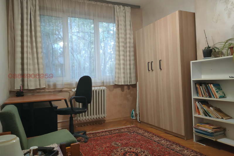 Стая в София, Оборище