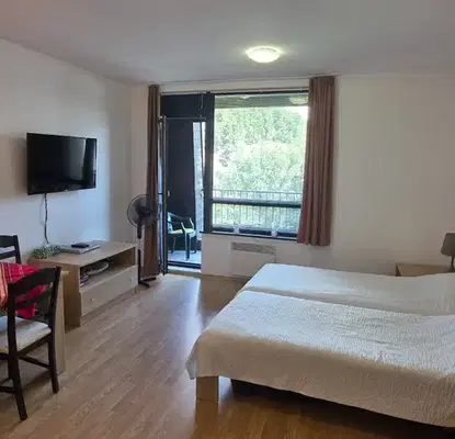Photo 2 — 1-bedroom apartment in Oblast Blagoevgrad, Razlog