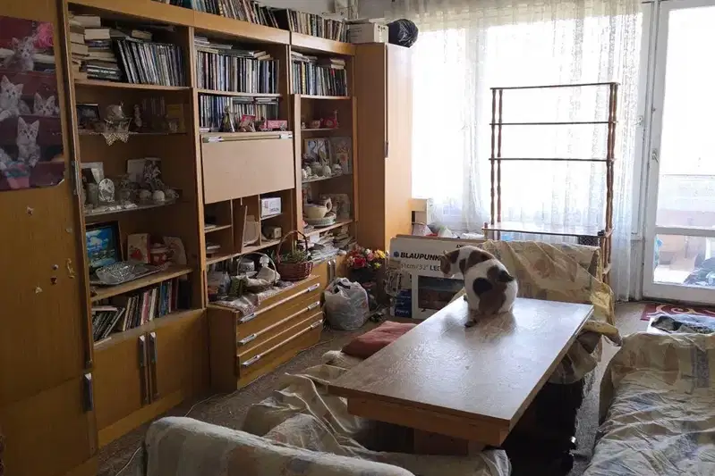 Two-room apartment in Hladilnika with renovation potential