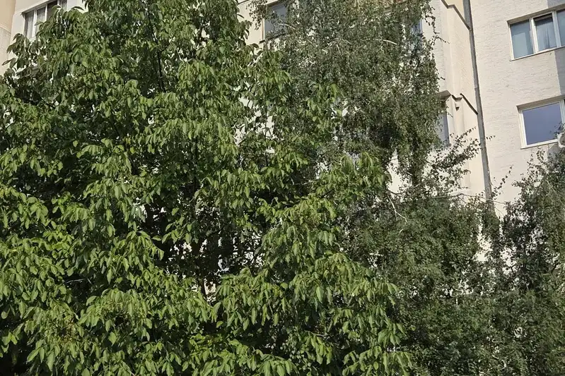 Two-room apartment in Lyulin 3 with two balconies on Dobrinova Skala Blvd
