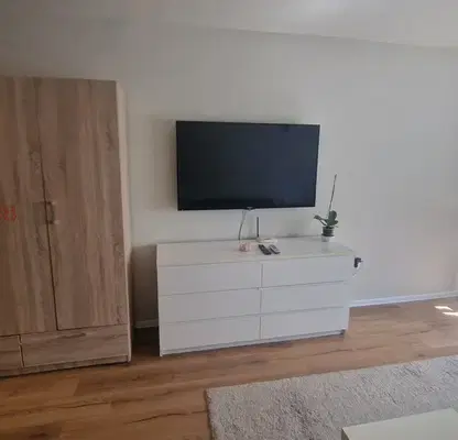Photo 5 — One-room apartment with Vitosha view in Mladost 3