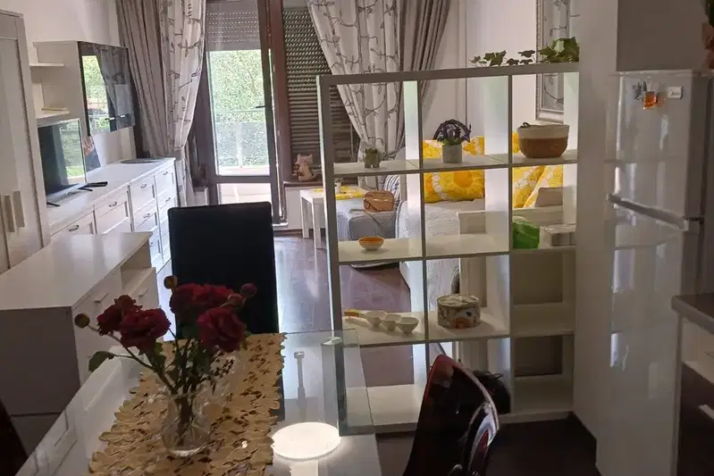 1-bedroom apartment in Sofia, Pavlovo
