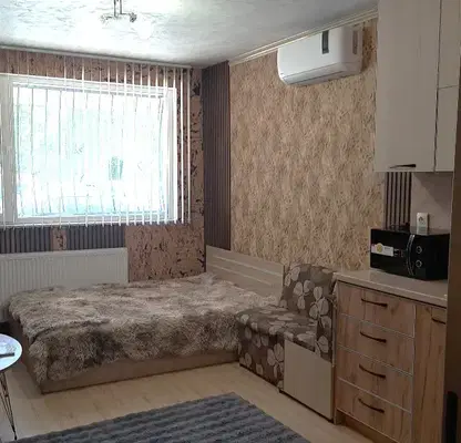 Photo 2 — One-room apartment in Suhata reka with south aspect
