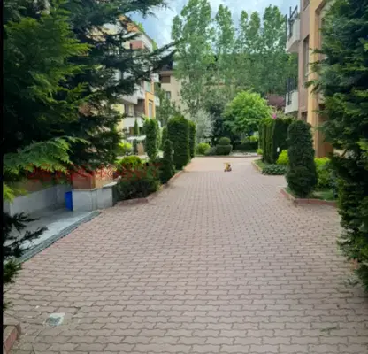 Снимка 2 — Тристаен апартамент с две тераси в кв. Витоша, София