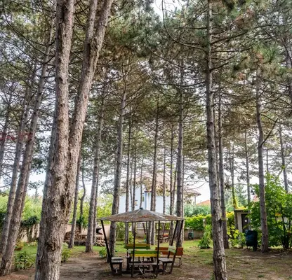Photo 3 — Two-room apartment with access to yard in m-t Alen mak, Varna