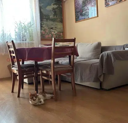Photo 4 — Two-room apartment with separate kitchen in Varna, Vladislav Varnenchik
