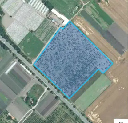 Снимка 3 — Парцел в Бургас, Айтос