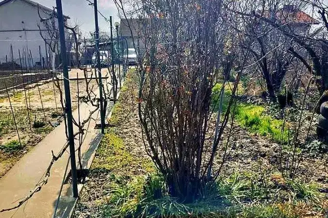 Plot in Varna, Aksakovo