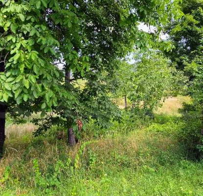 Photo 4 — Plot in Oblast Lovech, Aprilci