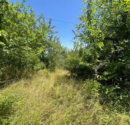 Photo 5 — Plot in Bankya