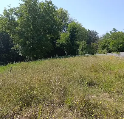 Photo 2 — Plot in Bankya