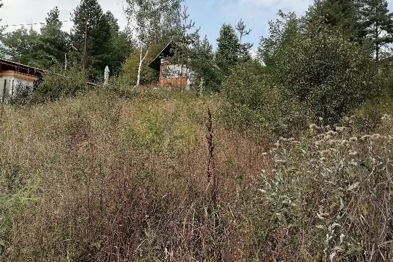 Plot in Bankya