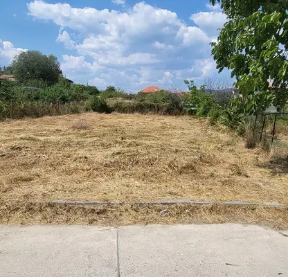Снимка 3 — Парцел в Пазарджик, Белово
