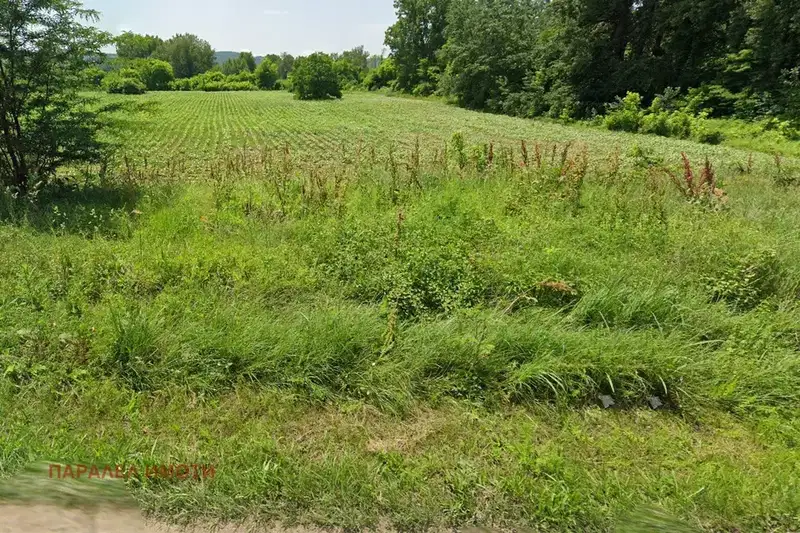Plot in Pleven, Cherven Bryag