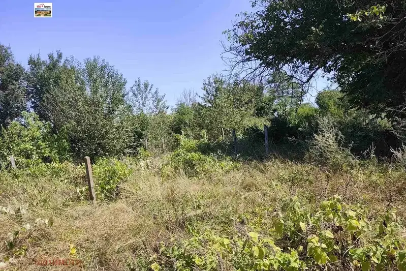 Plot in Dobrich, Lozyata