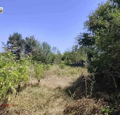 Photo 3 — Plot in Dobrich, Lozyata