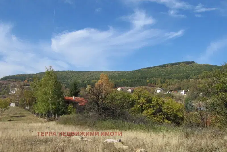 Парцел в София, Драгоман