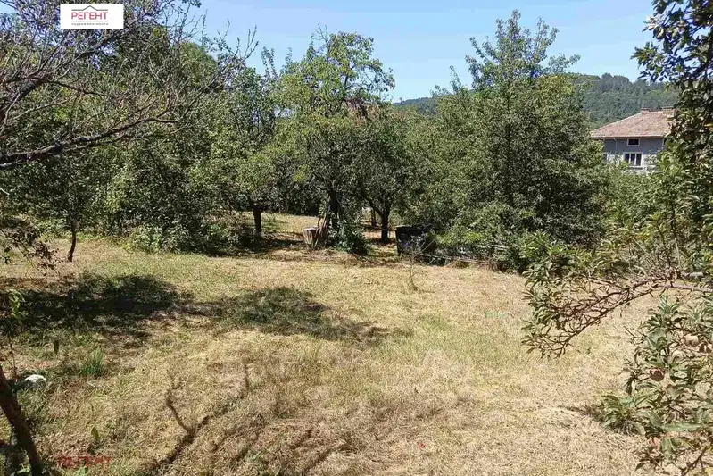 Парцел в Габрово, Дряново