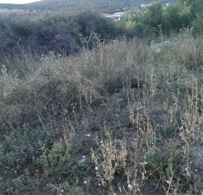 Photo 2 — Plot in Kyustendil, Dupnica