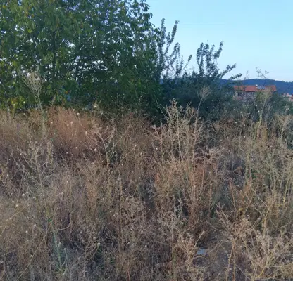 Photo 3 — Plot in Kyustendil, Dupnica