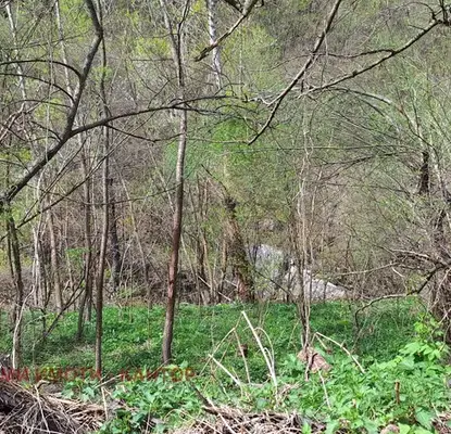 Photo 5 — Plot in Oblast Veliko Tyrnovo, Elena