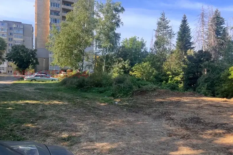 Plot in Gabrovo, Mladost
