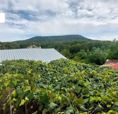 Photo 2 — Plot in Gabrovo, Sarani