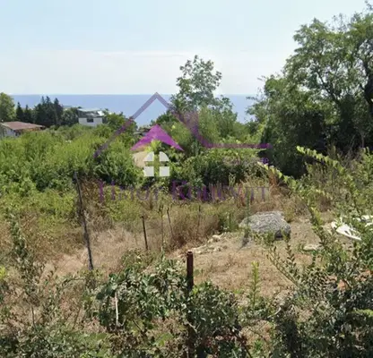 Photo 2 — Plot in k.k. Chayka