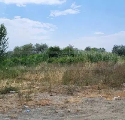 Снимка 4 — Парцел в Бургас, к.к. Слънчев бряг