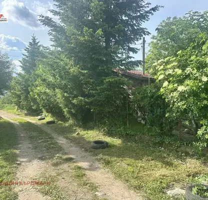 Photo 5 — Plot in Kyrdjali, Veselchane